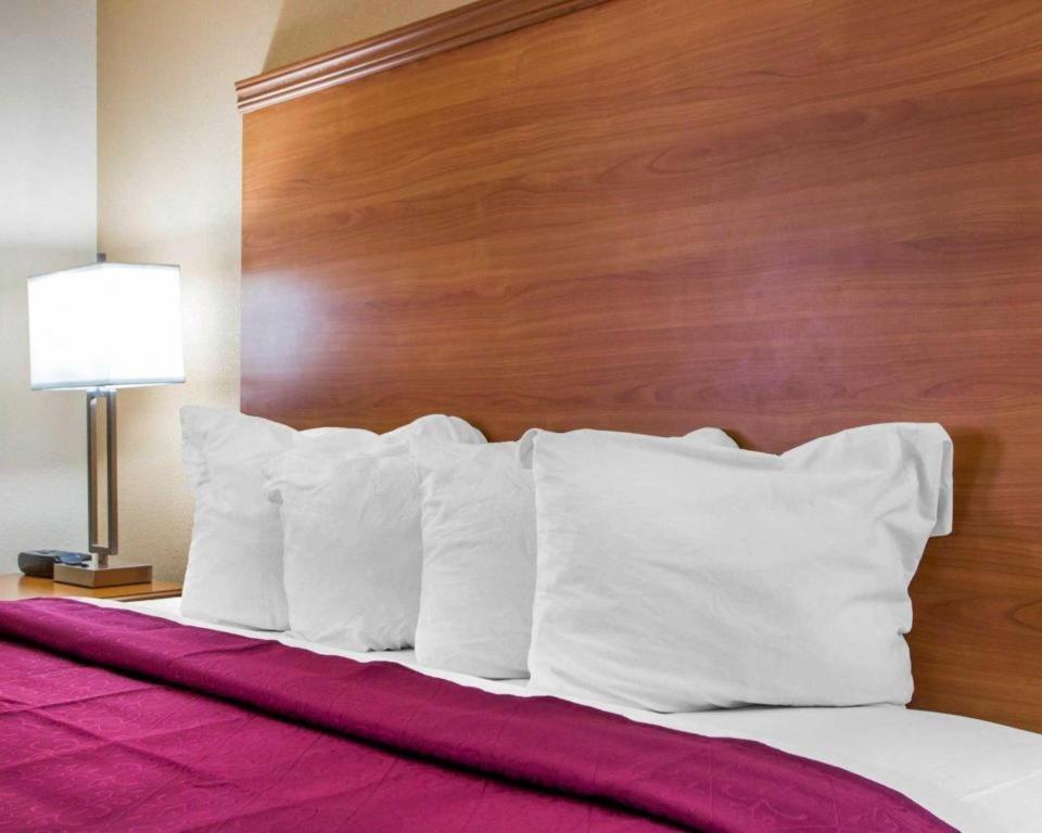 Quality Inn Ottawa Near Starved Rock State Park Экстерьер фото